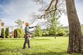 Reliable Hanna City, IL  Tree Services Solutions